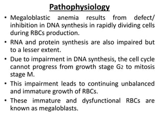 Pathophysiology
• Megaloblastic anemia results from defect/
inhibition in DNA synthesis in rapidly dividing cells
during RBCs production.
• RNA and protein synthesis are also impaired but
to a lesser extent.
• Due to impairment in DNA synthesis, the cell cycle
cannot progress from growth stage G2 to mitosis
stage M.
• This impairment leads to continuing unbalanced
and immature growth of RBCs.
• These immature and dysfunctional RBCs are
known as megaloblasts.
 