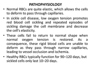PATHOPHYSIOLOGY
• Normal RBCs are quite elastic, which allows the cells
to deform to pass through capillaries.
• In sickle cell disease, low oxygen tension promotes
red blood cell sickling and repeated episodes of
sickling damage the cell membrane and decrease
the cell's elasticity.
• These cells fail to return to normal shape when
normal oxygen tension is restored. As a
consequence, these rigid blood cells are unable to
deform as they pass through narrow capillaries,
leading to vessel occlusion and ischemia.
• Healthy RBCs typically function for 90–120 days, but
sickled cells only last 10–20 days.
 