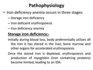 Pathophysiology
• Iron deficiency anemia occurs in three stages:
– Storage iron deficiency
– Iron deficient erythropoiesis
– Iron deficiency anemia
Storage iron deficiency:-
Initially during blood loss, body preferentially utilizes all
the iron it has stored in the liver, bone marrow and
other organs for accelerated erythropoiesis.
Once the stored iron is depleted, erythropoiesis and
production of myoglobin (iron containing proteins)
become limited, leading to an IDA.
 