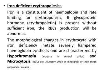 • Iron deficient erythropoiesis:-
Iron is a constituent of haemoglobin and rate
limiting for erythropoiesis. If glycoprotein
hormone (erythropoietin) is present without
sufficient iron, the RBCs production will be
abnormal.
The morphological changes in erythrocyte with
iron deficiency imitate severely hampered
haemoglobin synthesis and are characterized by
Hypochromasia (increase in central pallor) and
Microcytosis (RBCs are unusually small as measured by their mean
corpuscular volume).
 