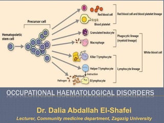 OCCUPATIONAL HAEMATOLOGICAL DISORDERS
Dr. Dalia Abdallah El-Shafei
Lecturer, Community medicine department, Zagazig University
 