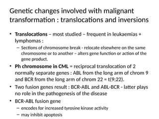 Genetic changes involved with malignant
transformation : translocations and inversions
• Translocations – most studied – frequent in leukaemias +
lymphomas :
– Sections of chromosome break - relocate elsewhere on the same
chromosome or to another – alters gene function or action of the
gene product.
• Ph chromosome in CML = reciprocal translocation of 2
normally separate genes : ABL from the long arm of chrom 9
and BCR from the long arm of chrom 22 = t(9;22).
• Two fusion genes result : BCR-ABL and ABL-BCR - latter plays
no role in the pathogenesis of the disease
• BCR-ABL fusion gene
– encodes for increased tyrosine kinase activity
– may inhibit apoptosis
 