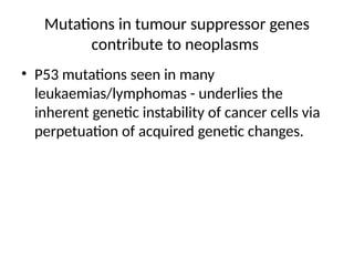 Mutations in tumour suppressor genes
contribute to neoplasms
• P53 mutations seen in many
leukaemias/lymphomas - underlies the
inherent genetic instability of cancer cells via
perpetuation of acquired genetic changes.
 