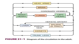 Haematology | PPTX