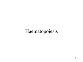 1
Haematopoiesis
 