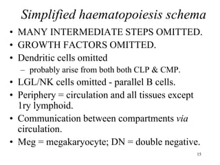 15
Simplified haematopoiesis schema
• MANY INTERMEDIATE STEPS OMITTED.
• GROWTH FACTORS OMITTED.
• Dendritic cells omitted
– probably arise from both both CLP & CMP.
• LGL/NK cells omitted - parallel B cells.
• Periphery = circulation and all tissues except
1ry lymphoid.
• Communication between compartments via
circulation.
• Meg = megakaryocyte; DN = double negative.
 