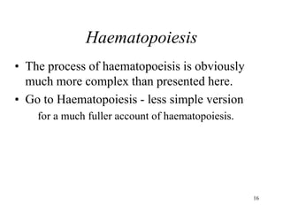 16
Haematopoiesis
• The process of haematopoeisis is obviously
much more complex than presented here.
• Go to Haematopoiesis - less simple version
for a much fuller account of haematopoiesis.
 