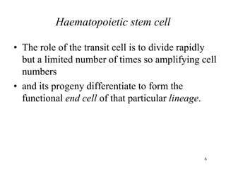 6
Haematopoietic stem cell
• The role of the transit cell is to divide rapidly
but a limited number of times so amplifying cell
numbers
• and its progeny differentiate to form the
functional end cell of that particular lineage.
 