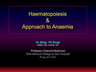 Haematopoiesis& Approach to Anaemia Dr (Brig)  YD Singh MBBS, MD, FIACM, DIT Professor (Internal Medicine) SKN Medical College & Gen Hospital Pune 411 041 