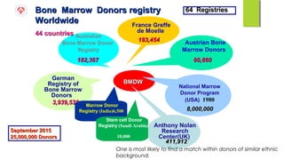 Haematopoietic stem cell transplantation | PPT