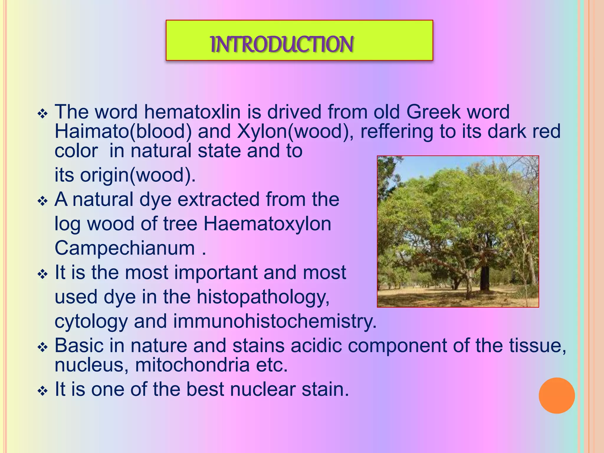 INTRODUCTION
 The word hematoxlin is drived from old Greek word
Haimato(blood) and Xylon(wood), reffering to its dark red
color in natural state and to
its origin(wood).
 A natural dye extracted from the
log wood of tree Haematoxylon
Campechianum .
 It is the most important and most
used dye in the histopathology,
cytology and immunohistochemistry.
 Basic in nature and stains acidic component of the tissue,
nucleus, mitochondria etc.
 It is one of the best nuclear stain.
 
