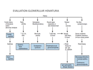 EVALUATION-GLOMERULAR HEMATURIA
 