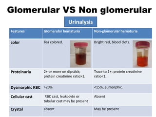 Eumorphic Rbc seminar on Haematuria | PPTX