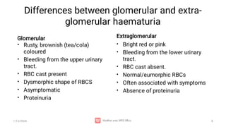 Eumorphic Rbc Comprehensive Overview of Haematuria in Children: Causes, Diagnosis ...