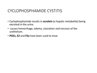 CYCLOPHOSPHAMIDE CYSTITIS
• Cyclophosphamide results in acrolein (a hepatic metabolite) being
excreted in the urine.
• causes hemorrhage, edema, ulceration and necrosis of the
urothelium.
• PGE1, E2 and F2a have been used to treat.
 