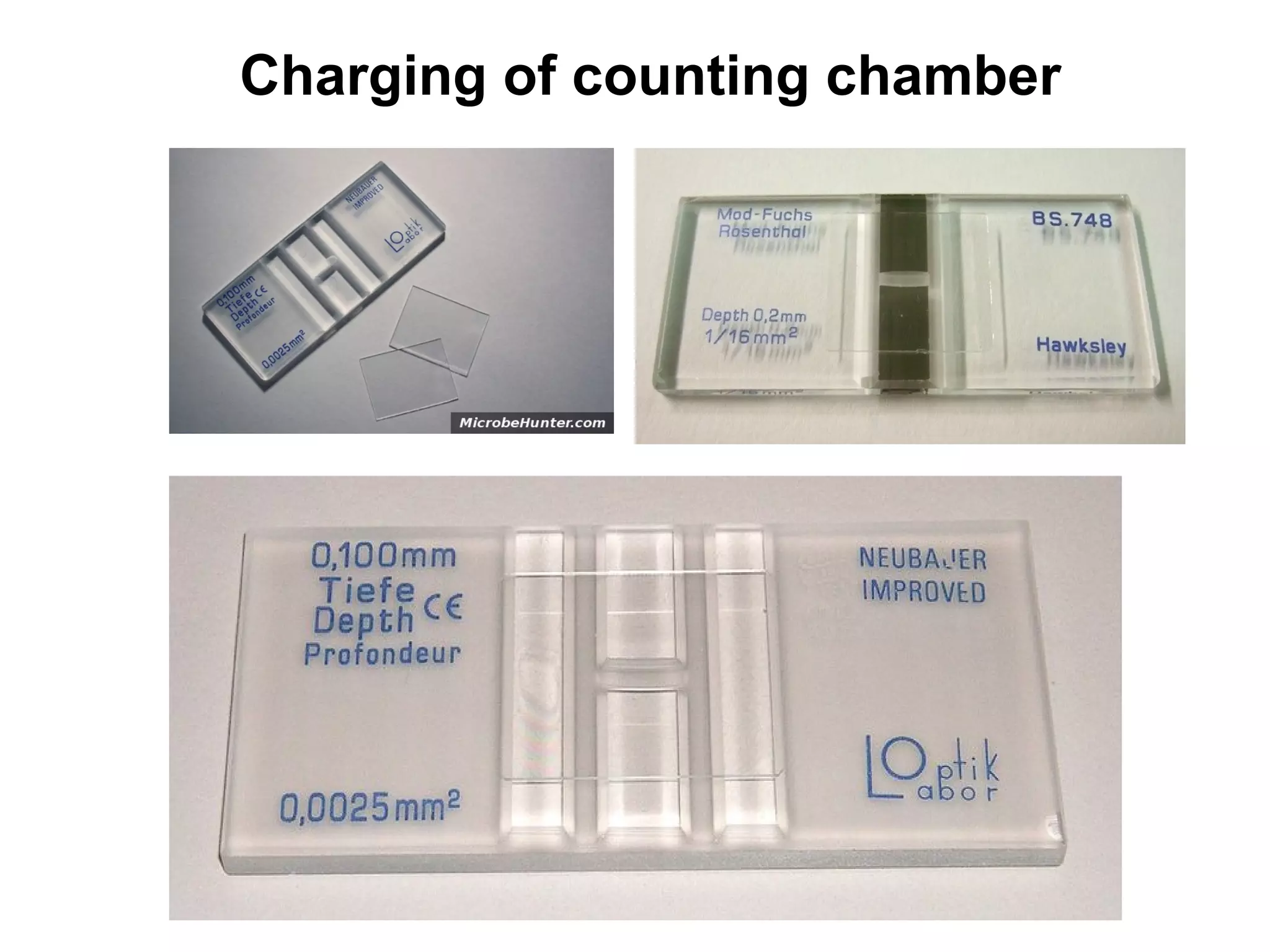 Haemocytometer | PPT