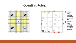 Counting Rules:
 