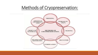 Methods of Cryopreservation:
 