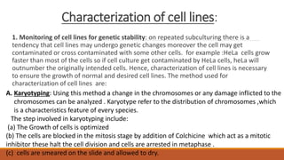 Characterization of cell lines:
1. Monitoring of cell lines for genetic stability: on repeated subculturing there is a
tendency that cell lines may undergo genetic changes moreover the cell may get
contaminated or cross contaminated with some other cells. for example :HeLa cells grow
faster than most of the cells so if cell culture get contaminated by HeLa cells, heLa will
outnumber the originally intended cells. Hence, characterization of cell lines is necessary
to ensure the growth of normal and desired cell lines. The method used for
characterization of cell lines are:
A. Karyotyping: Using this method a change in the chromosomes or any damage inflicted to the
chromosomes can be analyzed . Karyotype refer to the distribution of chromosomes ,which
is a characteristics feature of every species.
The step involved in karyotyping include:
(a) The Growth of cells is optimized
(b) The cells are blocked in the mitosis stage by addition of Colchicine which act as a mitotic
inhibitor these halt the cell division and cells are arrested in metaphase .
(c) cells are smeared on the slide and allowed to dry.
 