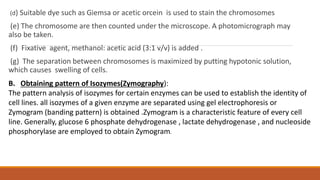 (d) Suitable dye such as Giemsa or acetic orcein is used to stain the chromosomes
(e) The chromosome are then counted under the microscope. A photomicrograph may
also be taken.
(f) Fixative agent, methanol: acetic acid (3:1 v/v) is added .
(g) The separation between chromosomes is maximized by putting hypotonic solution,
which causes swelling of cells.
B. Obtaining pattern of Isozymes(Zymography):
The pattern analysis of isozymes for certain enzymes can be used to establish the identity of
cell lines. all isozymes of a given enzyme are separated using gel electrophoresis or
Zymogram (banding pattern) is obtained .Zymogram is a characteristic feature of every cell
line. Generally, glucose 6 phosphate dehydrogenase , lactate dehydrogenase , and nucleoside
phosphorylase are employed to obtain Zymogram.
 