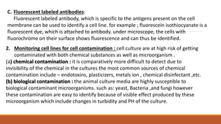 C. Fluorescent labeled antibodies:
Fluorescent labeled antibody, which is specific to the antigens present on the cell
membrane can be used to identify a cell line. for example ; fluorescein isothiocyanate is a
fluorescent dye, which is attached to antibody. under microscope, the cells with
fluorochrome on their surface shows fluorescence and can thus be identified.
2. Monitoring cell lines for cell contamination : cell culture are at high risk of getting
contaminated with both chemical substances as well as microorganism .
(a) chemical contamination : it is comparatively more difficult to detect due to
invisibility of the chemical in the cultures the most common sources of chemical
contamination include – endotoxins, plasticizers, metals ion , chemical disinfectant ,etc.
(b) biological contamination : the animal culture media are highly susceptible to
biological contaminant microorganisms. such as: yeast, Bacteria ,and fungi however
these contamination are easy to identify because of visible effect produced by these
microorganism which include changes in turbidity and PH of the culture.
 
