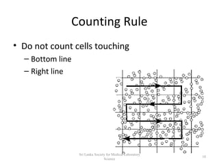 Counting Rule
• Do not count cells touching
– Bottom line
– Right line
10
Sri Lanka Society for Medical Laboratory
Science
 