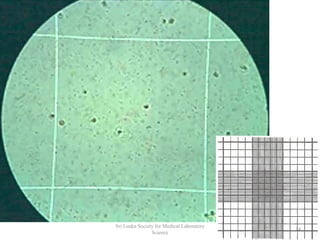 14
Sri Lanka Society for Medical Laboratory
Science
 