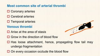 Most common site of arterial thrombi
 Coronary arteries
 Cerebral arteries
 Temporal arteries
Venous thrombi
 Arise at the area of stasis
 Grow in the direction of blood flow
 Has loose attachment, hence, propagating flow tail may
undergo fragmentation
 On every occasion occlude the blood flow
 