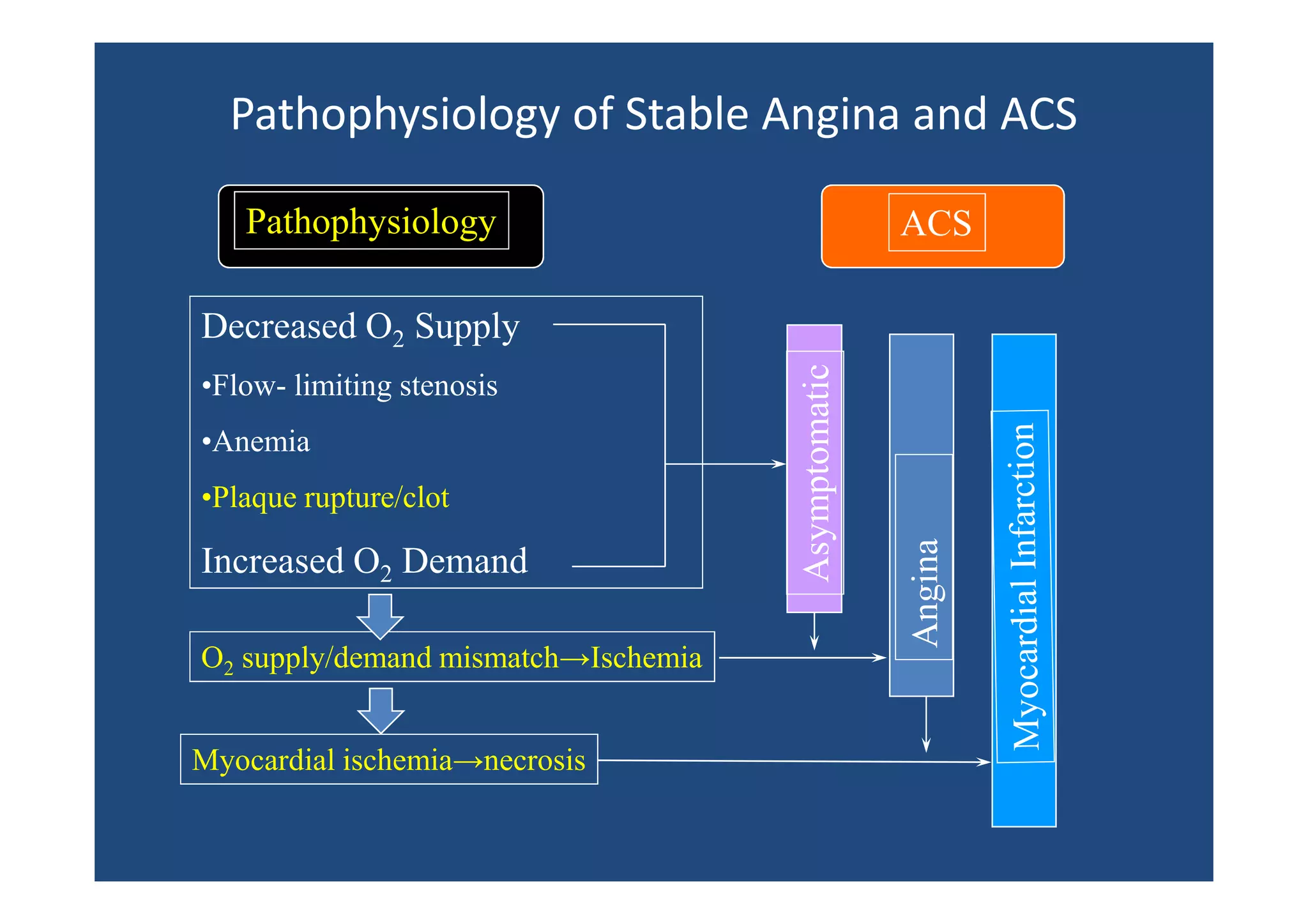 Decreased O2 Supply
•Flow- limiting stenosis
•Anemia
•Plaque rupture/clot
Increased O2 Demand
O2 supply/demand mismatch→Ischemia
Myocardial ischemia→necrosis
Pathophysiology ACS
Asymptomatic
Angina
Pathophysiology of Stable Angina and ACS
 