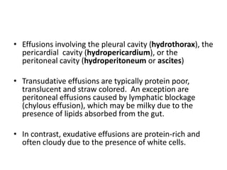 • Effusions involving the pleural cavity (hydrothorax), the
pericardial cavity (hydropericardium), or the
peritoneal cavity (hydroperitoneum or ascites)
• Transudative effusions are typically protein poor,
translucent and straw colored. An exception are
peritoneal effusions caused by lymphatic blockage
(chylous effusion), which may be milky due to the
presence of lipids absorbed from the gut.
• In contrast, exudative effusions are protein-rich and
often cloudy due to the presence of white cells.
 