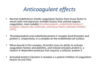 Anticoagulant effects
• Normal endothelium shields coagulation factors from tissue factor in
vessel walls and expresses multiple factors that actively oppose
coagulation, most notably thrombomodulin, endothelial protein C
receptor, heparin-like molecules, and tissue factor pathway inhibitor
(TFPI).
• Thrombomodulin and endothelial protein C receptor bind thrombin and
protein C, respectively, in a complex on the endothelial cell surface.
• When bound in this complex, thrombin loses its ability to activate
coagulation factors and platelets, and instead activates protein C, a
vitamin K–dependent protease that requires a cofactor, protein S
• Activated protein C/protein S complex is a potent inhibitor of coagulation
factors Va and VIIIa.
 