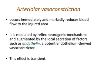 Arteriolar vasoconstriction
• occurs immediately and markedly reduces blood
flow to the injured area
• It is mediated by reflex neurogenic mechanisms
and augmented by the local secretion of factors
such as endothelin, a potent endothelium-derived
vasoconstrictor.
• This effect is transient.
 