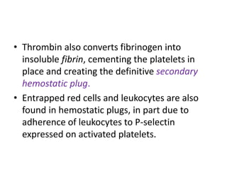 • Thrombin also converts fibrinogen into
insoluble fibrin, cementing the platelets in
place and creating the definitive secondary
hemostatic plug.
• Entrapped red cells and leukocytes are also
found in hemostatic plugs, in part due to
adherence of leukocytes to P-selectin
expressed on activated platelets.
 