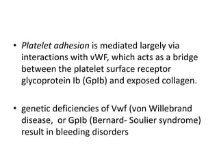 • Platelet adhesion is mediated largely via
interactions with vWF, which acts as a bridge
between the platelet surface receptor
glycoprotein Ib (GpIb) and exposed collagen.
• genetic deficiencies of Vwf (von Willebrand
disease, or GpIb (Bernard- Soulier syndrome)
result in bleeding disorders
 
