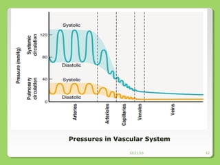 12/21/16 12
Pressures in Vascular System
 
