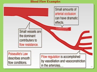 Blood Flow Examples
12/21/16 33
 