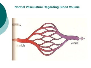 Normal Vasculature Regarding Blood Volume
 