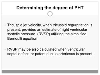 Tr Jet Rvsp Haemodynamics, Gradients and calculations - Inga Voges.pdf