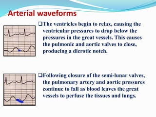 Arterial waveforms
The ventricles begin to relax, causing the
ventricular pressures to drop below the
pressures in the great vessels. This causes
the pulmonic and aortic valves to close,
producing a dicrotic notch.
Following closure of the semi-lunar valves,
the pulmonary artery and aortic pressures
continue to fall as blood leaves the great
vessels to perfuse the tissues and lungs.
 