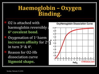 Haemoglobin | PPT