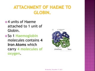  4 units of Haeme
attached to 1 unit of
Globin.
 So 1 Haemoglobin
molecules contains 4
Iron Atoms which
carry 4 molecules of
oxygen.
Wednesday, December 13, 2023
 