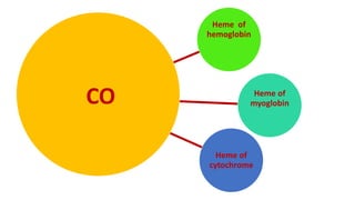 Heme of
hemoglobin
Heme of
myoglobin
Heme of
cytochrome
CO
 