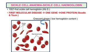 SICKLE CELL ANAEMIA-SICKLE CELL HAEMOGLOBIN
• 1957-first sickle cell hemoglobin (Hb S )
• FIRST MOLECULAR DISEASE  ONE GENE ONE PROTEIN( Beadle
& Taum )
Crescent shape ( low hemoglobin content )
 