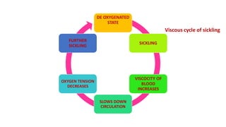 DE OXYGENATED
STATE
SICKLING
VISCOCITY OF
BLOOD
INCREASES
SLOWS DOWN
CIRCULATION
OXYGEN TENSION
DECREASES
FURTHER
SICKLING
Viscous cycle of sickling
 