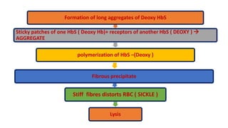 Formation of long aggregates of Deoxy HbS
Sticky patches of one HbS ( Deoxy Hb)+ receptors of another HbS ( DEOXY ) 
AGGREGATE
polymerization of HbS –(Deoxy )
Fibrous precipitate
Stiff fibres distorts RBC ( SICKLE )
Lysis
 