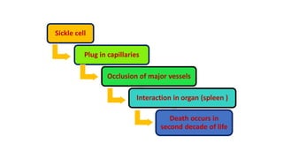 Sickle cell
Plug in capillaries
Occlusion of major vessels
Interaction in organ (spleen )
Death occurs in
second decade of life
 