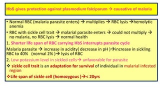 HbS gives protection against plasmodium falciparum  causative of malaria
• Normal RBC (malaria parasite enters)  multiplies  RBC lysis hemolytic
anemia
• RBC with sickle cell trait  malarial parasite enters  could not multiply 
no malaria, no RBC lysis  normal health
1. Shorter life span of RBC carrying HbS interrupts parasite cycle
Malaria parasite  increase in acidity( decrease in pH )increase in sickling
RBC to 40% (normal 2% ) lysis of RBC
2. Low potassium level in sickled cells unfavorable for parasite
 sickle cell trait is an adaptation for survival of individual in malarial infested
region
Life span of sickle cell (homozygous )< 20yrs
 