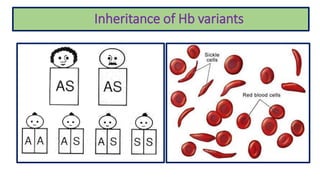 Inheritance of Hb variants
 