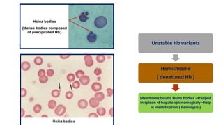 Unstable Hb variants
Hemichrome
( denatured Hb )
Membrane bound Heinz bodies –trapped
in spleen hepato splenomeghaly –help
in identification ( hemolysis )
 
