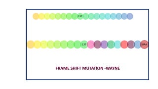 137
137 UAA
FRAME SHIFT MUTATION -WAYNE
 